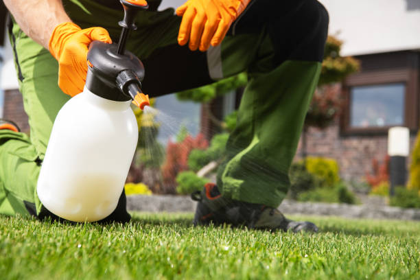 Best Rodent Control Near Me  in Montgomery, IL