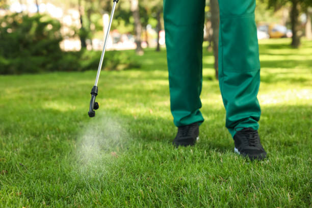 Reliable Montgomery, IL Pest Control Solutions