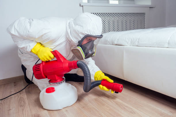 Best Wasp Removal Services  in Montgomery, IL