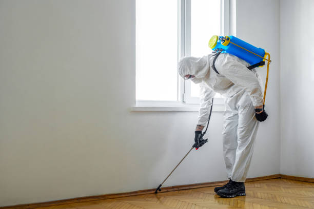 Best Commercial Pest Control Services  in Montgomery, IL