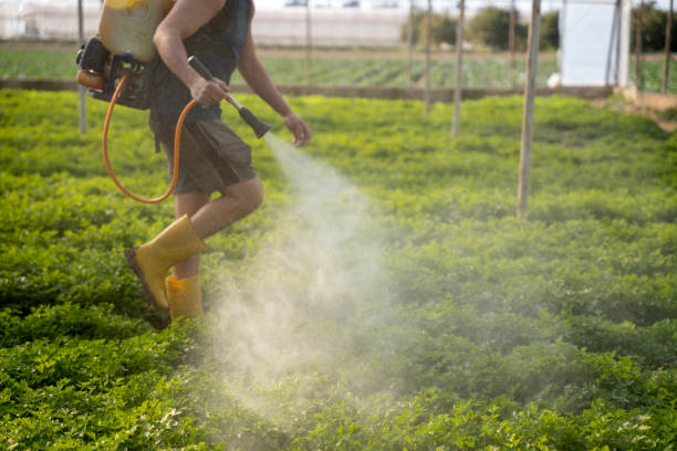 Best Pest Control Near Me in Montgomery, IL
