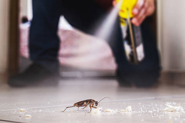 Best Residential Pest Control  in Montgomery, IL