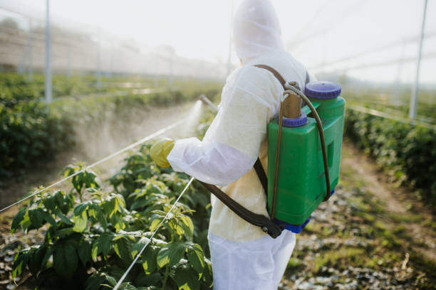 Flea Control Services in Montgomery, IL